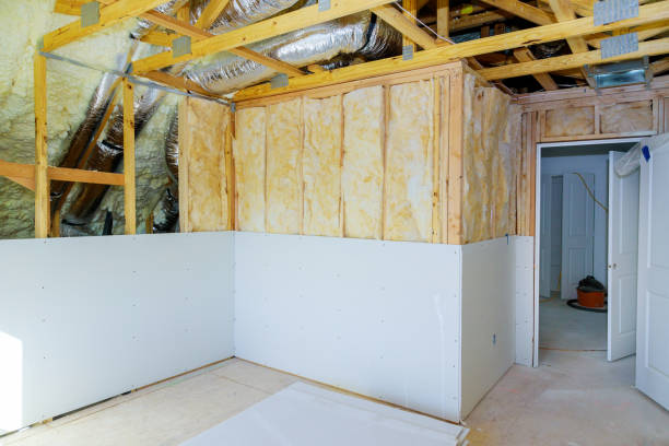 Best Types of Insulation in Panorama Village, TX
